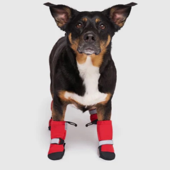 CANADA POOCH Soft Shield Boots - Picture 4 of 12